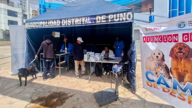 Campaña gratuita de vacunación y atención veterinaria beneficia a familias puneñas