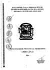 Vista preliminar de documento ESTUDIO DE CARACTERIZACION DE RESIDUOS SOLIDOS MPM-CH 2024.