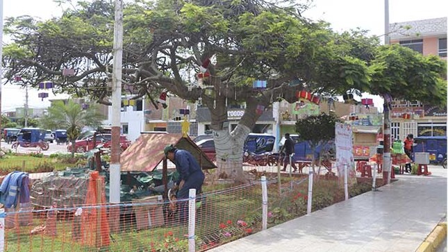Empresas e instituciones se suman a la campaña "Decora un Arbol Navideño 2024".