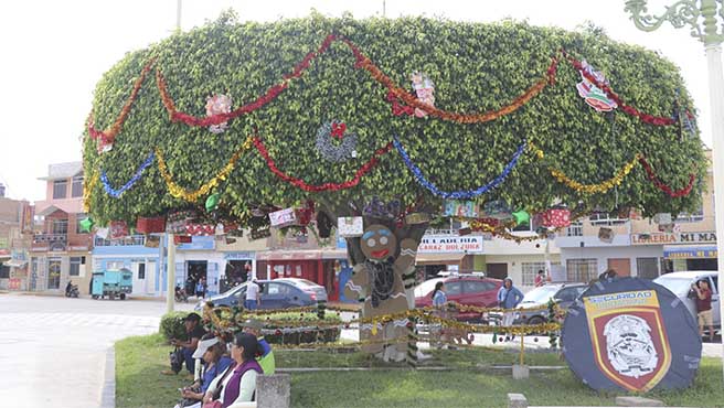 Empresas e instituciones se suman a la campaña "Decora un Arbol Navideño 2024".