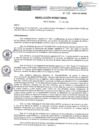 Vista preliminar de documento RD-388-2024-DE-HEVES