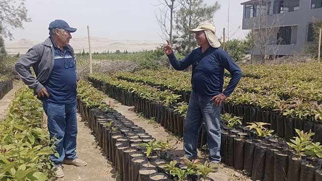 PRO COMPITE HUARMEY 2024 sigue apoyando a los agricultores de la provincia