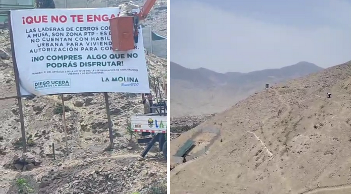Municipalidad de La Molina realiza acciones para evitar invasiones de terrenos en la quinta etapa de Musa