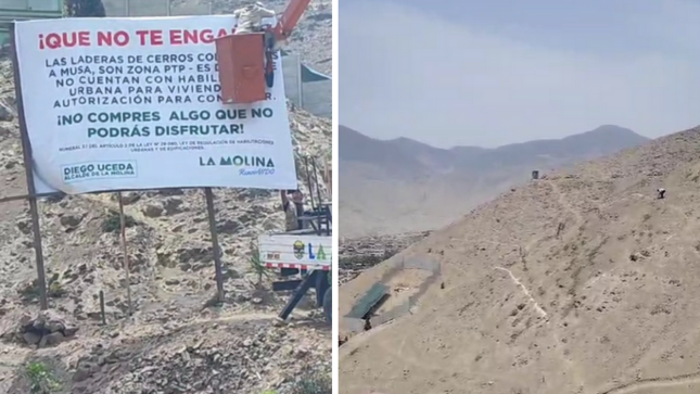Municipalidad de La Molina realiza acciones para evitar invasiones de terrenos en la quinta etapa de Musa