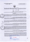 Vista preliminar de documento RD N°0129
