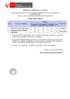 Vista preliminar de documento Proceso CAS N° 111-2024-AJU (resultados finales)