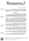 Vista preliminar de documento Resolución Directoral N° 4863-2024-GRSM-DRE-UGEL-SAN-MARTIN