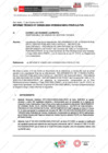 Vista preliminar de documento 00041.1. ANEXO 1 - RD N° D00041-2024-PNVR Informe de liquidación final