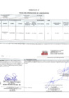 Vista preliminar de documento 00041.2 ANEXO 2 - RD N° D00041-2024-PNVR Informe de liquidación final