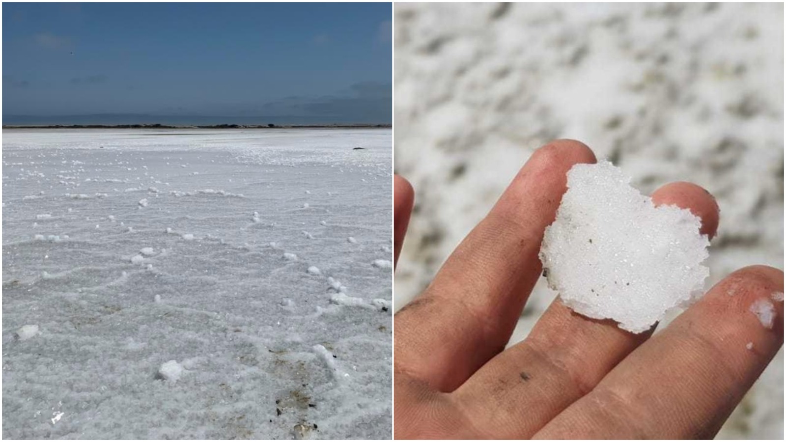 Gore emite Ordenanza para empezar a posicionar a El Salar de Negritos-Talara como destino turístico nacional e internacional