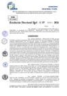 Vista preliminar de documento Resolucion Directoral N° 006000-2024