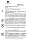 Vista preliminar de documento ORDENANZA_Nº_452_2020_MDS