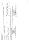 Vista preliminar de documento CMN-386