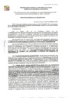 Vista preliminar de documento GDE-479-2024