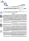 Vista preliminar de documento Resolucion Directoral N° 006006-2024