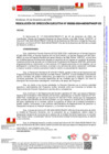 Vista preliminar de documento RDE293