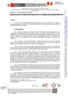 Vista preliminar de documento RDE295