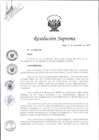 Vista preliminar de documento RS N° 134-2024-DE