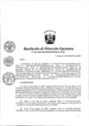 Vista preliminar de documento RDE Nº 092-2024-PEDAMAALC-APROBAR EL POA  PERIODO DEL PIP SHANUSI - II