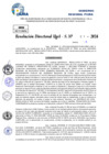 Vista preliminar de documento Resolucion Directoral N° 006011-2024