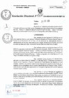 Vista preliminar de documento RD N°0130