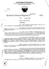 Vista preliminar de documento RDR 5502-2023
