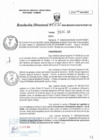 Vista preliminar de documento RD N°0132