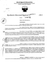 Vista preliminar de documento RDR 5505-2023