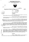 Vista preliminar de documento RDR 5506-2023