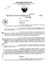 Vista preliminar de documento RDR 5507-2023