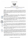 Vista preliminar de documento RA96