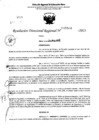 Vista preliminar de documento RDR 5508-2023
