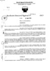 Vista preliminar de documento RDR 5509-2023