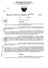 Vista preliminar de documento RDR 5510-2023