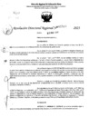 Vista preliminar de documento RDR 5513-2023