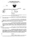 Vista preliminar de documento RDR 5516-2023