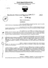 Vista preliminar de documento RDR 5520-2023