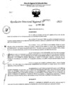 Vista preliminar de documento RDR 5521-2023
