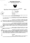 Vista preliminar de documento RDR 5522-2023