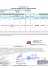 Vista preliminar de documento 00053.1. ANEXO 1 - RD N° D00053-2024-PNVR Informe de liquidación final