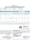 Vista preliminar de documento 00058.1. ANEXO 1 - RD N° D00058-2024-PNVR Informe de liquidación final