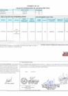 Vista preliminar de documento 00060.1. ANEXO 1 - RD N° D000060-2024-PNVR Informe de liquidación final