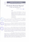 Vista preliminar de documento RDR 363-2024