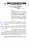 Vista preliminar de documento RDR 366-2024