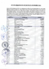 Vista preliminar de documento Acta de Recaudación de Ingresos mes de noviembre 2024