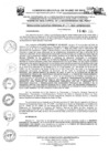 Vista preliminar de documento RER-247-2024-GOREMAD-CR