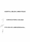 Vista preliminar de documento Bases Convocatoria CAS 003-2024