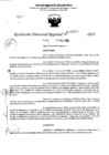 Vista preliminar de documento RDR 5523-2023