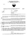 Vista preliminar de documento RDR 5524-2023