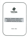 Vista preliminar de documento DIRECTIVA CAJA CHICA
